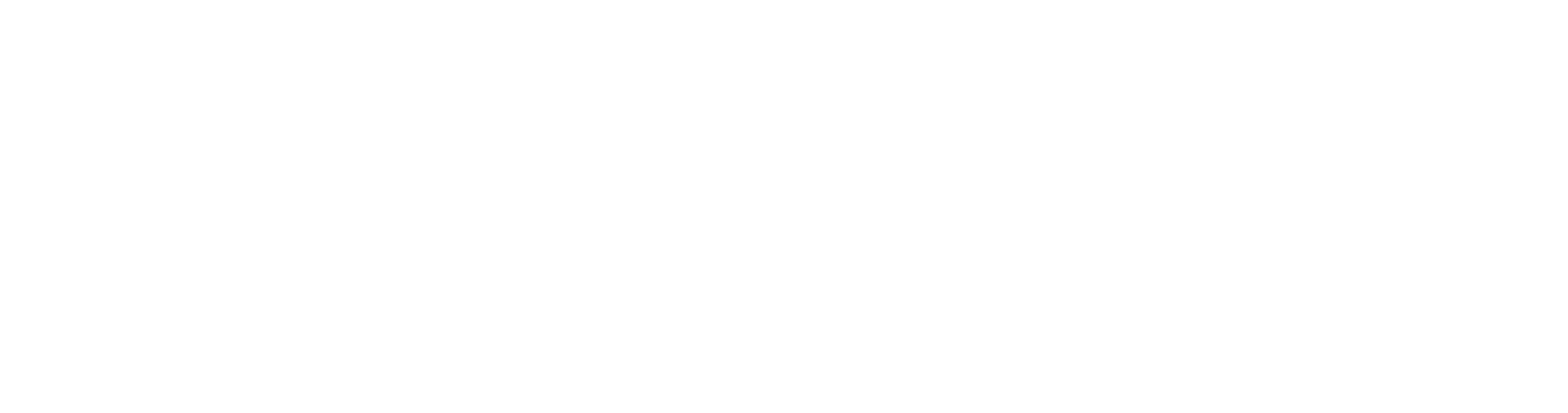 Nespresso Professional