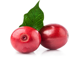 berry