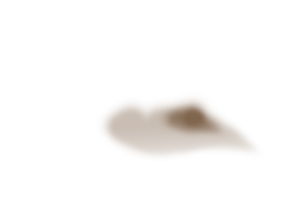 explore.caps.fortissio.shdw