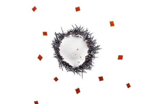 Coffee Flavored Cream Urchin