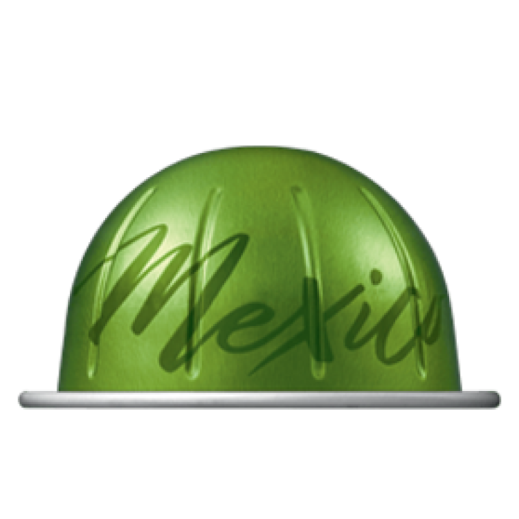 Buy Vertuo Master Origin Mexico Capsules | Nespresso KSA
