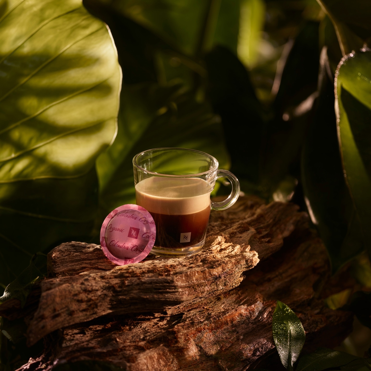 Nespresso Colombia Organic 4ケースセット Colombia Organic Coffee Capsule Box - Origins - Nespresso Pro USA