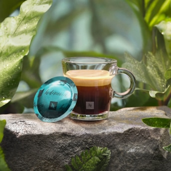 Visual alternative text