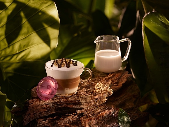 Nespresso Colombia Organic 4ケースセット Colombia Organic Coffee Capsule Box - Origins - Nespresso Pro USA