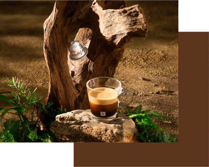Aged Sumatra Coffee Pods | Master 