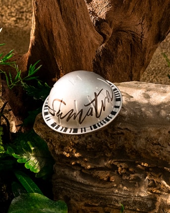 Aged Sumatra Vertuo Coffee Pods 