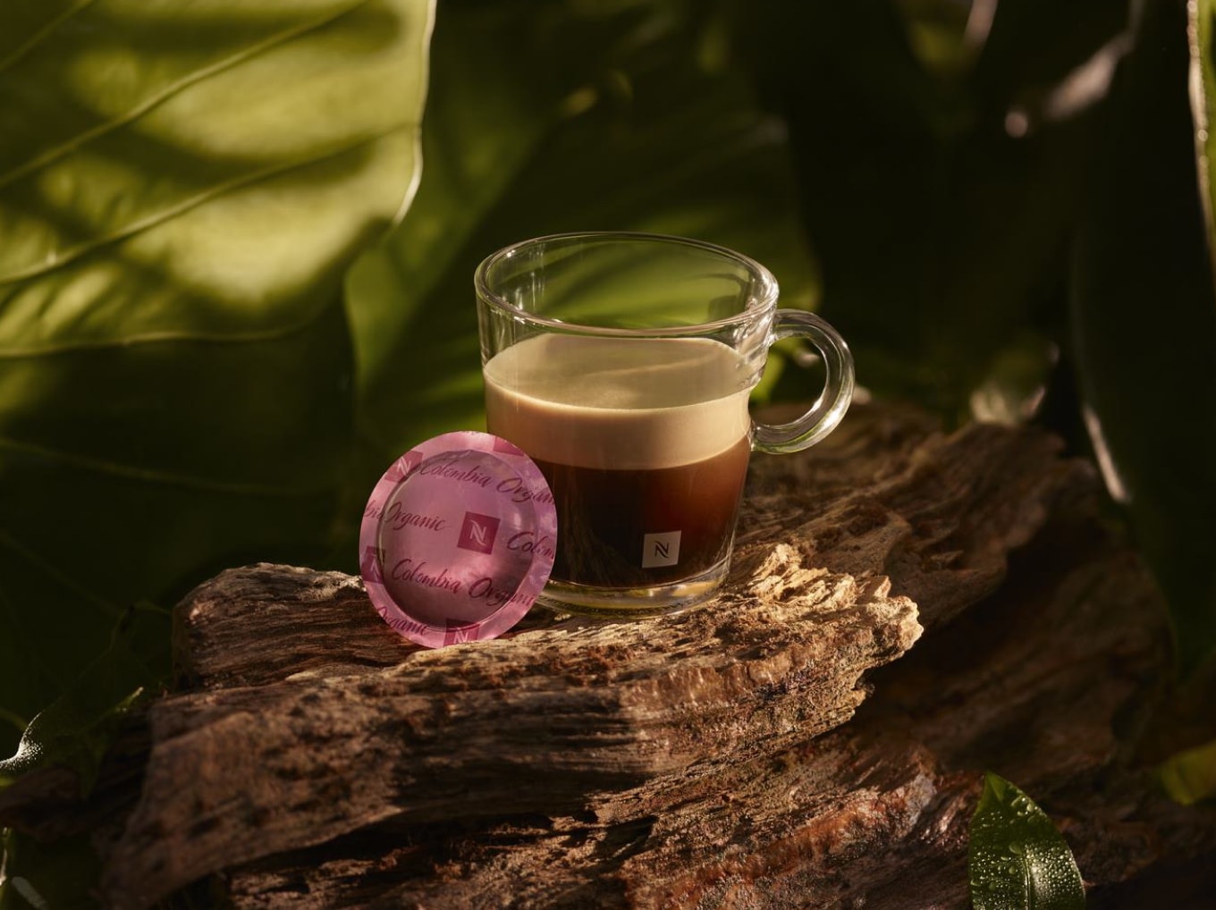  Nespresso cápsulas de café Pro – 50 x Lungo Forte