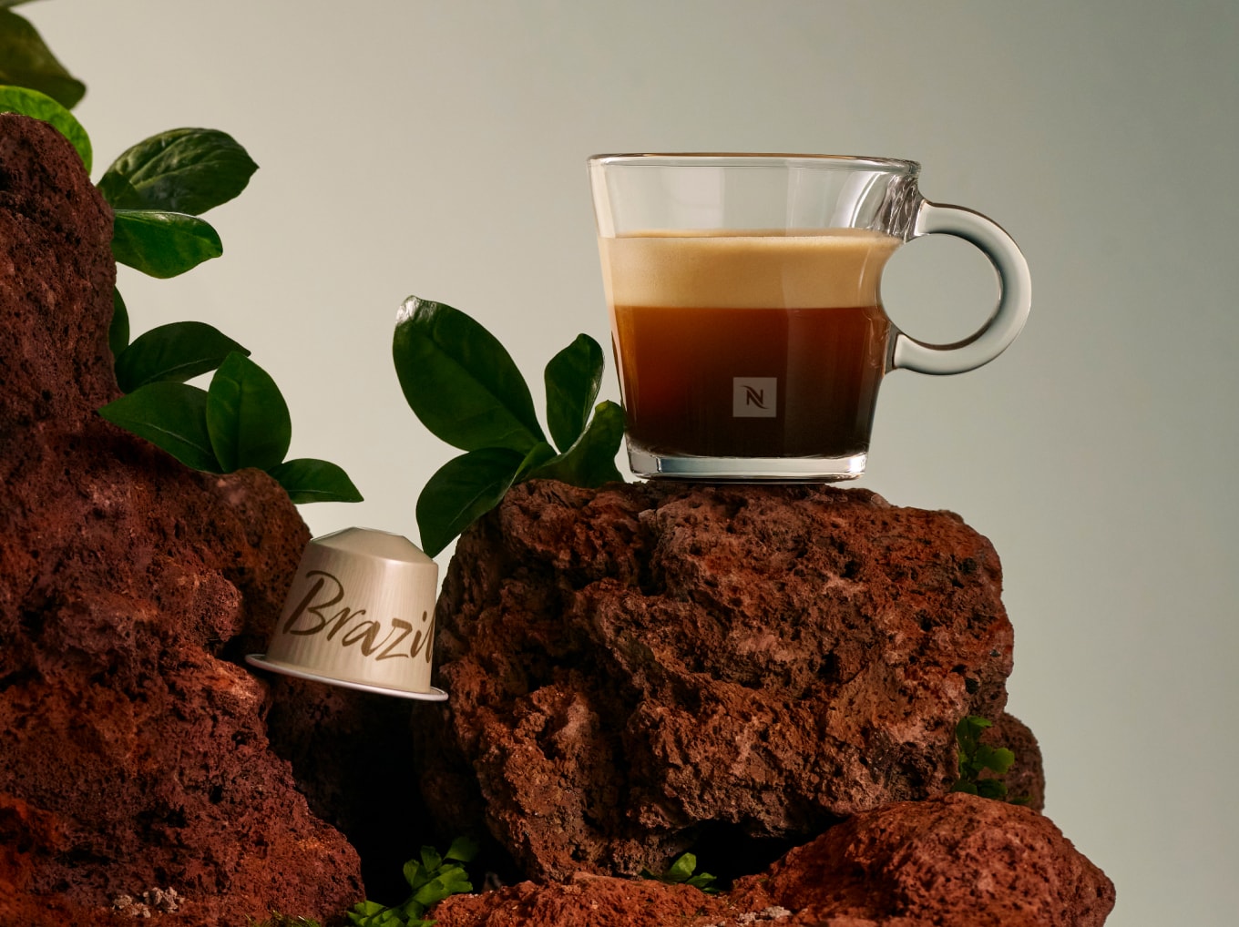 Café espresso Brazil Organic 100% Brasileiro | Café | Nespresso