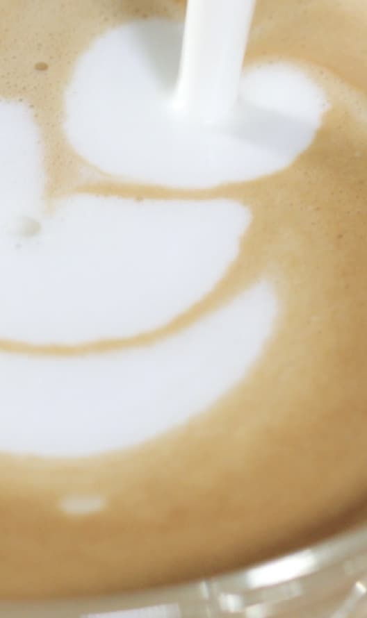 Aeroccino3 Black | Milk Frothers 