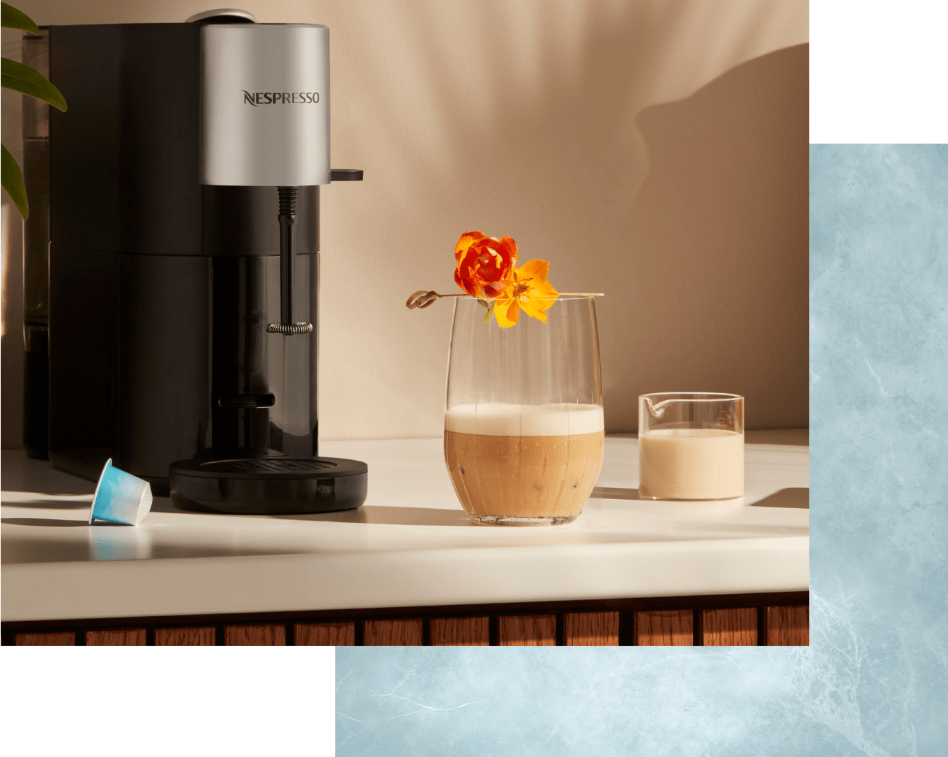Freddo Delicato | Capsule Coffee 