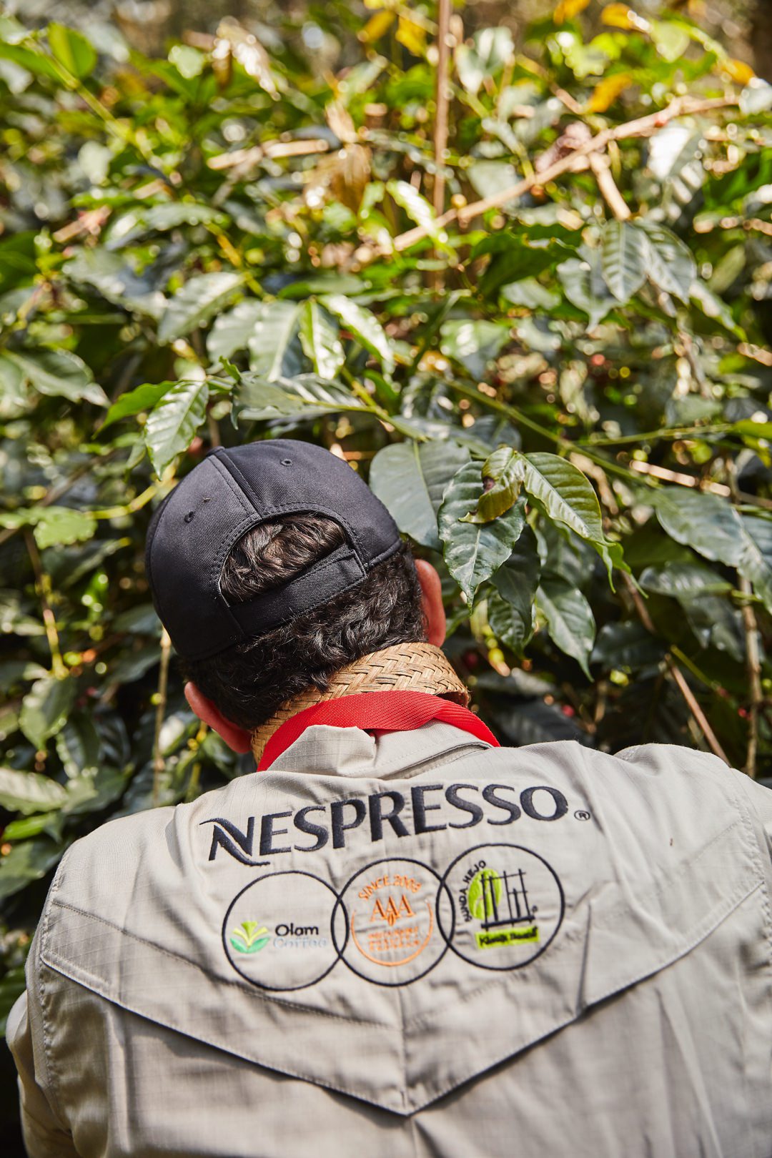 Koffieboer oogst duurzame koffie dankzij het AAA Sustainable Quality™ programma van Nespresso