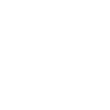 Icon of a sun