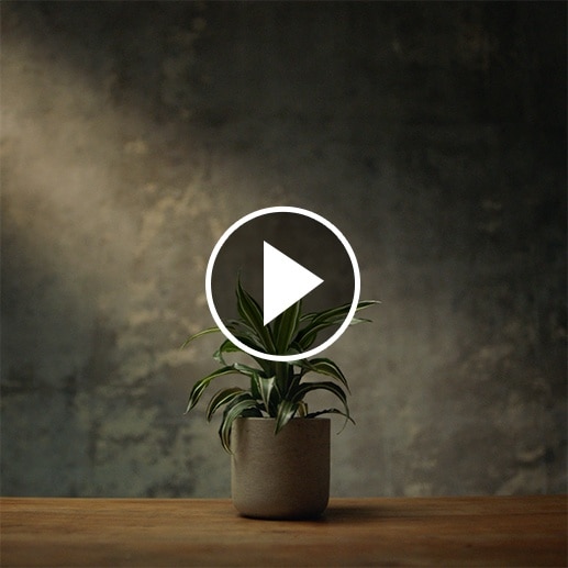 Jouer la vidéo - Recyclage - De la capsule Nespresso à une plante