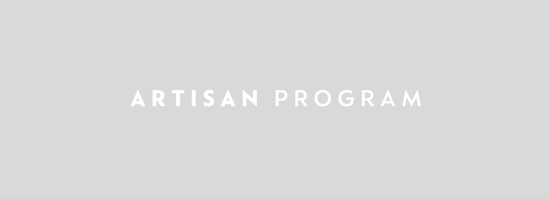 ARTISAN PROGRAM