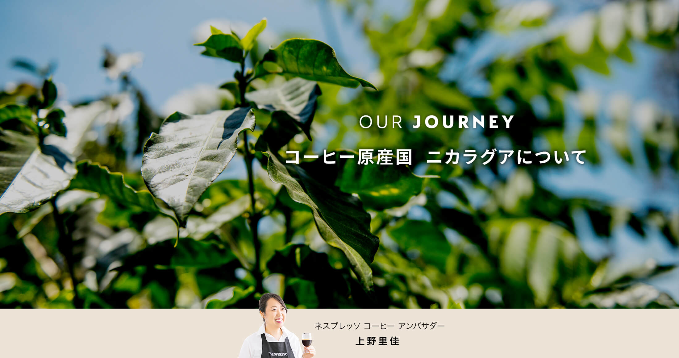 OUR JOURNEY ネスプレッソ コーヒー原産国  ニカラグアについて ネスプレッソ コーヒー アンバサダー 上野里佳