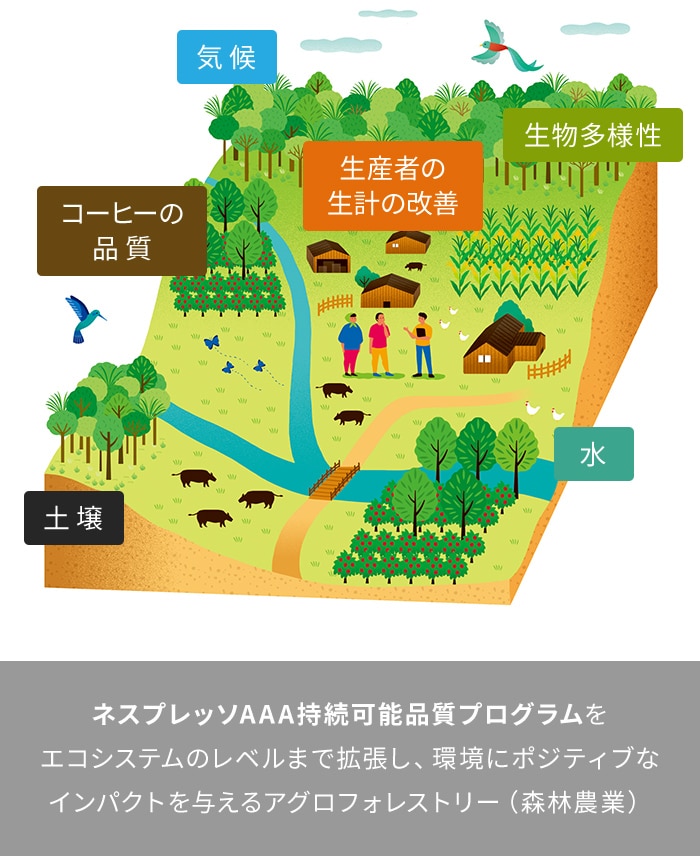 「ネスプレッソAAA持続可能品質プログラム」をエコシステムのレベルまで拡張し、環境にポジティブなインパクトを与えるアグロフォレストリー（森林農業）