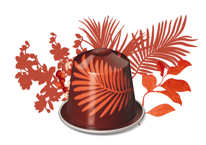 포레스트 프룻향 커피