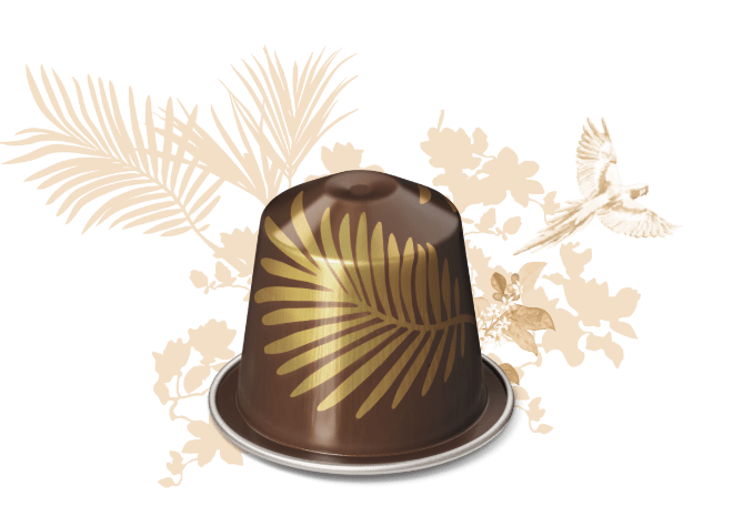 포레스트 아몬드향 커피