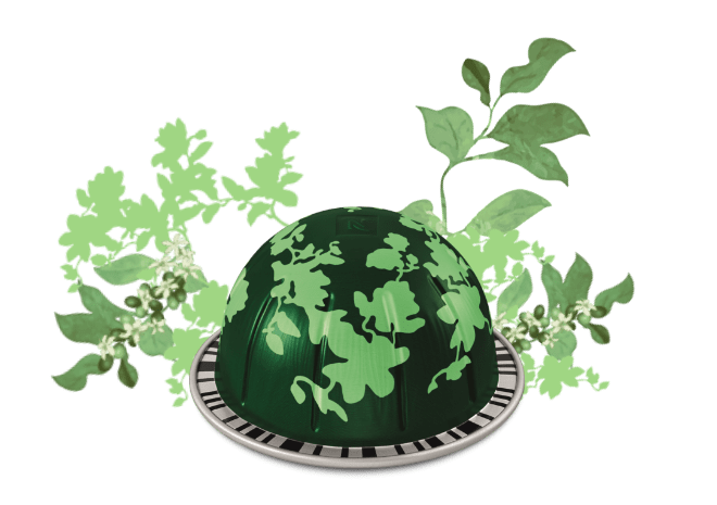 버츄오 포레스트 블랙