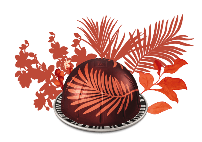 버츄오 포레스트 프룻향 커피