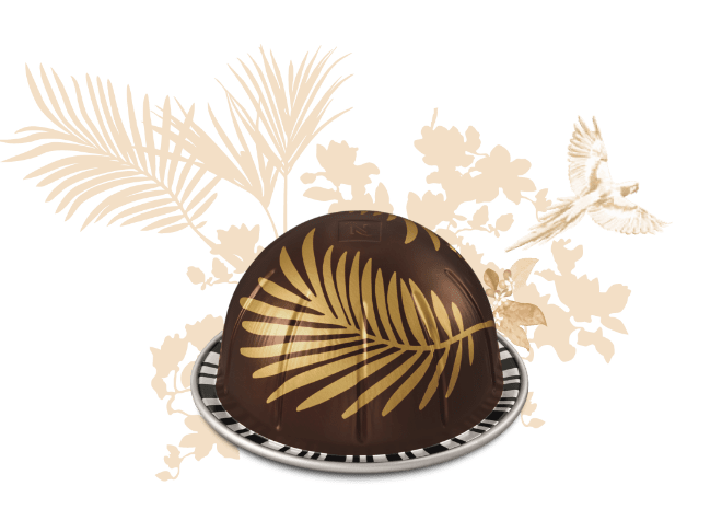 버츄오 포레스트 아몬드향 커피