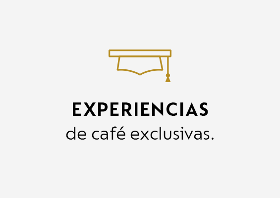 EXPERIENCIAS
