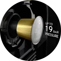 19Bar 高壓萃取