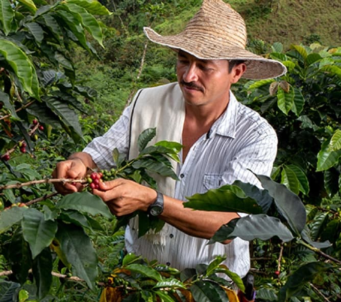 Sustainable Colombian Coffee | Sustainable Coffee Pods | Nespresso UK