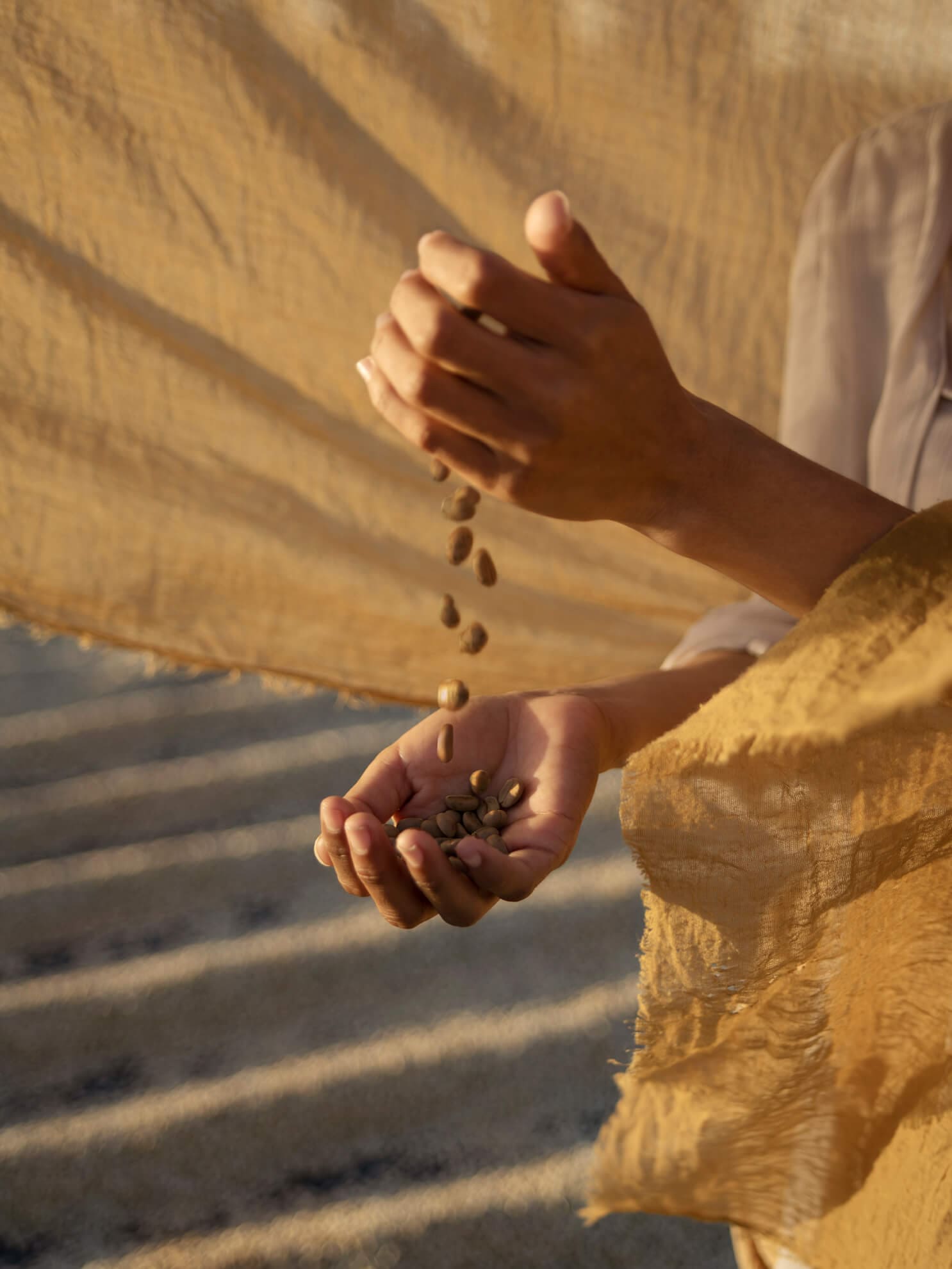 coffee-beans-with-hands1
