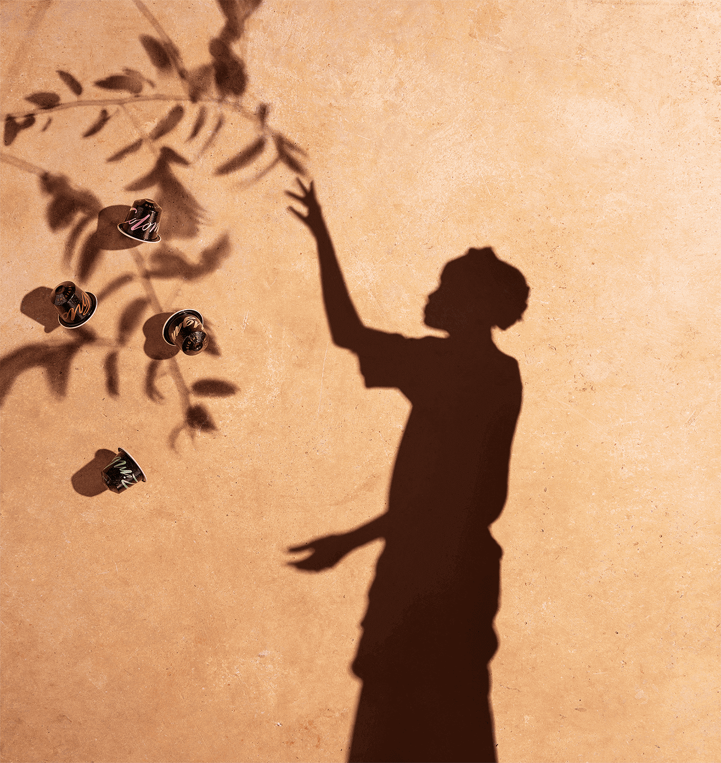 master-origin-banner