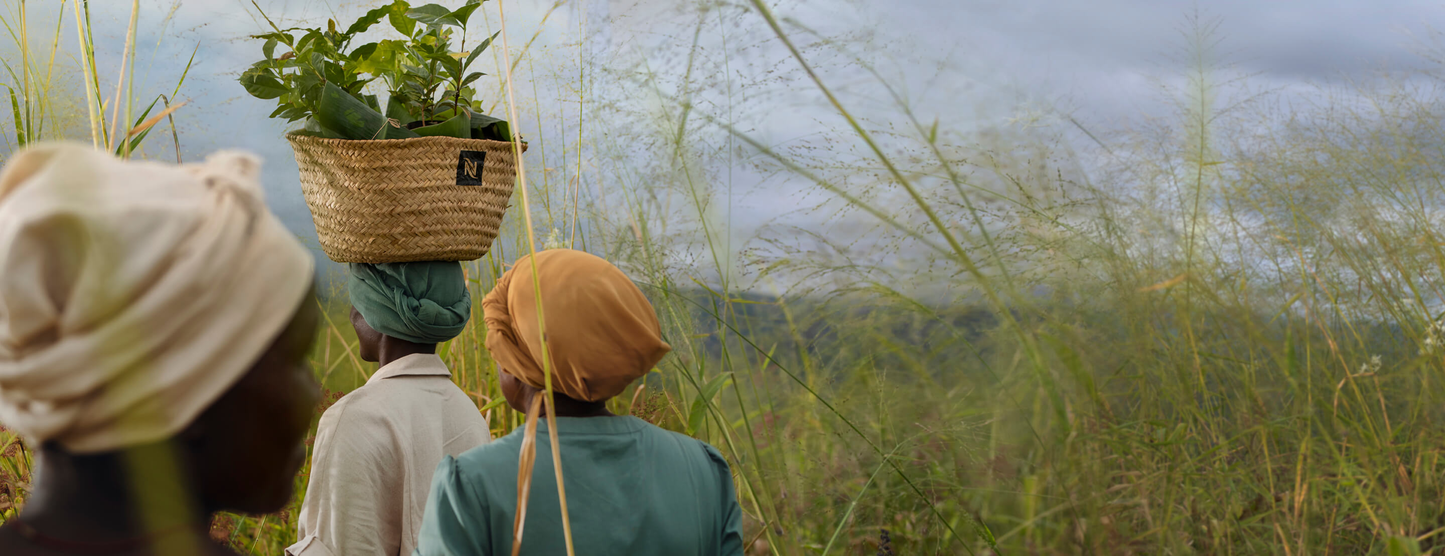 reviving-origins-banner