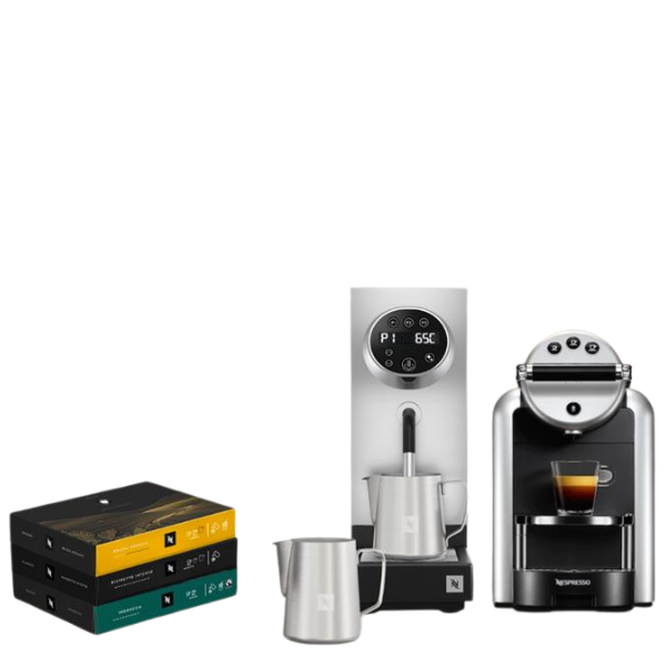 Zenius + Steamer Office Bundle