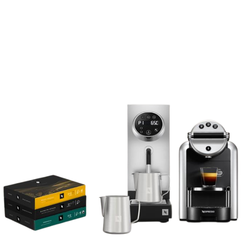 Zenius + Steamer Office Bundle