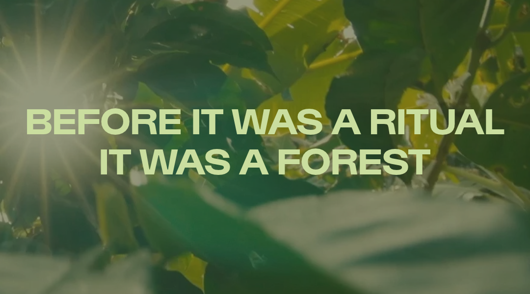 Before It Was a Ritual, It Was a Forest