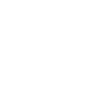 Origin Icon